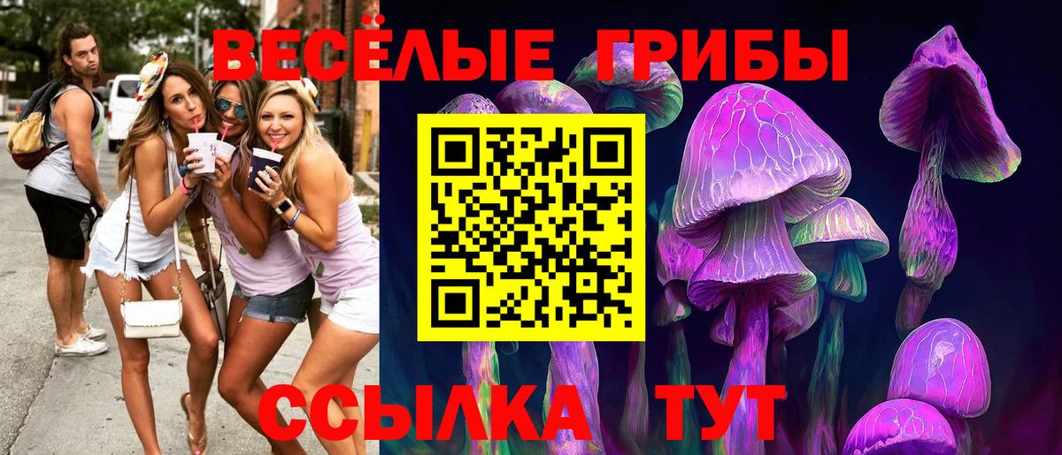 Сертолово  Псилоцибиновые грибы MAGIC MUSHROOMS  Псилоцибиновые грибы MAGIC MUSHROOMS  Вход с VPN 